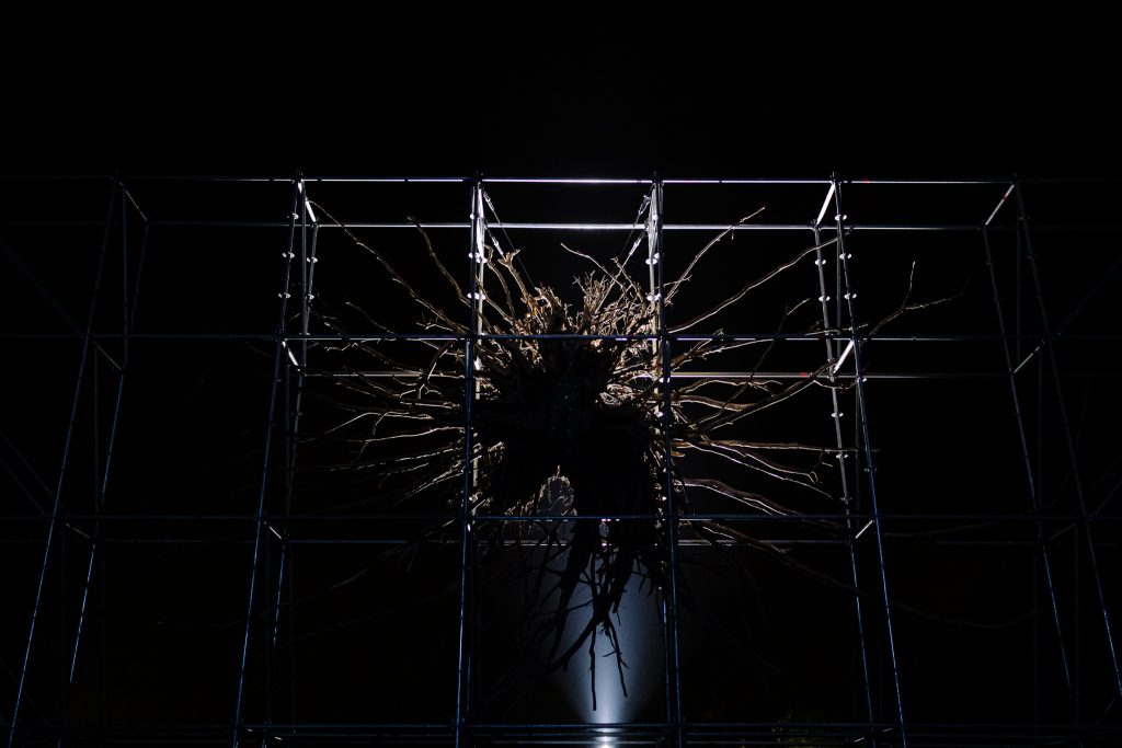Boomwortel gespannen in een metalen frame, uitgelicht in het donker, Schemerlicht Festival 2023